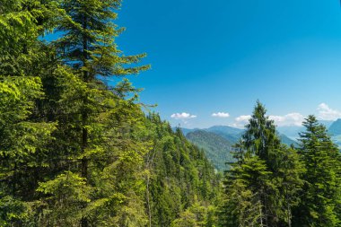 Muhteşem dağ manzaralarına ve Pilatus Kulm, İsviçre İsviçre Alpleri yataydan hiking trail