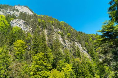 Muhteşem dağ manzaralarına ve Pilatus Kulm, İsviçre İsviçre Alpleri yataydan hiking trail