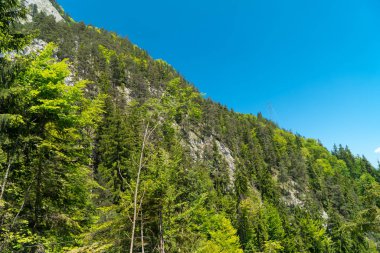 Muhteşem dağ manzaralarına ve Pilatus Kulm, İsviçre İsviçre Alpleri yataydan hiking trail