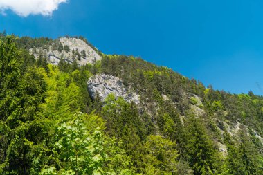 Muhteşem dağ manzaralarına ve Pilatus Kulm, İsviçre İsviçre Alpleri yataydan hiking trail