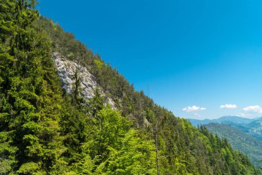 Muhteşem dağ manzaralarına ve Pilatus Kulm, İsviçre İsviçre Alpleri yataydan hiking trail