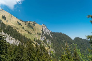 Muhteşem dağ manzaralarına ve Pilatus Kulm, İsviçre İsviçre Alpleri yataydan hiking trail