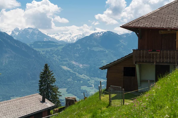 Spettacolare Vista Sulle Montagne Sentiero Escursionistico Nel Paesaggio Alpino Svizzero — Foto Stock