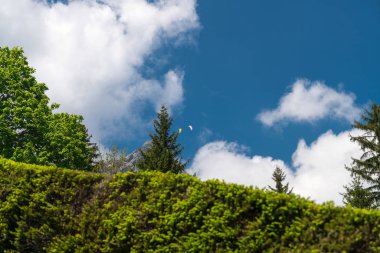Muhteşem dağ manzaralarına ve Pilatus Kulm, İsviçre İsviçre Alpleri yataydan hiking trail