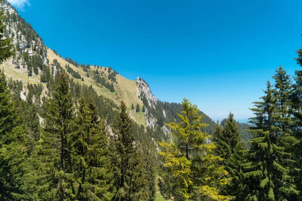 Wspaniałe Widoki Góry Szlak Turystyczny Szwajcarskich Alpach Krajobraz Pilatus Kulm — Zdjęcie stockowe