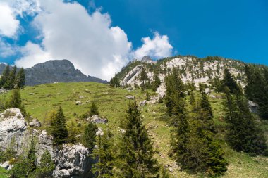 Muhteşem dağ manzaralarına ve Pilatus Kulm, İsviçre İsviçre Alpleri yataydan hiking trail