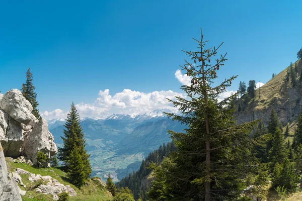 Muhteşem Dağ Manzaralarına Pilatus Kulm Sviçre Sviçre Alpleri Yataydan Hiking — Stok fotoğraf