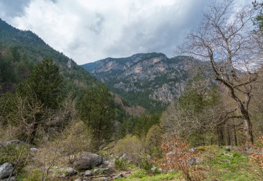 Enipeas vadisi ve kar da yüksek zirveleri ile Yunanistan'da Olympus dağ Manzara, Kuzey Yunanistan 
