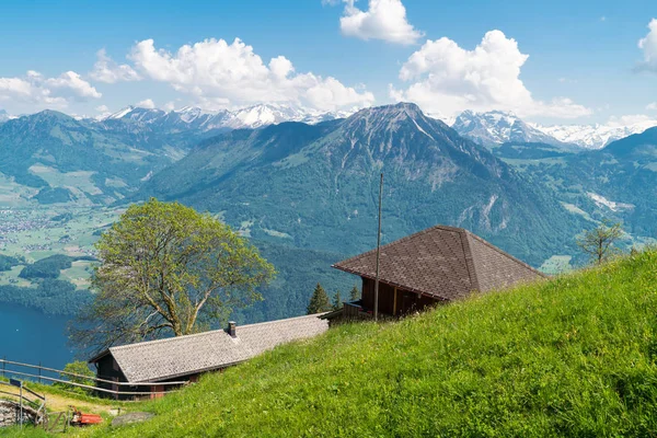 Υπέροχη Θέα Στα Βουνά Και Πεζοπορική Διαδρομή Στο Τοπίο Ελβετικές — Φωτογραφία Αρχείου