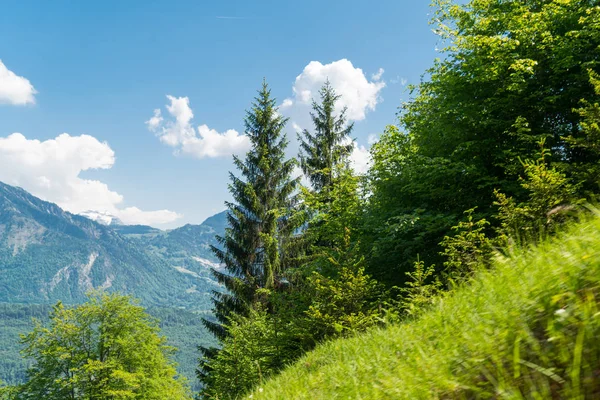 Wspaniałe Widoki Góry Szlak Turystyczny Szwajcarskich Alpach Krajobraz Pilatus Kulm — Zdjęcie stockowe