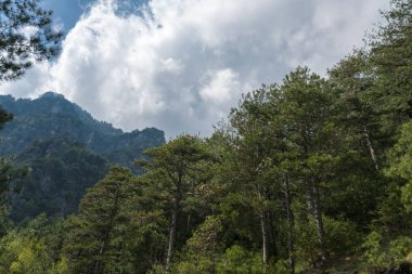 Enipeas vadisi ve kar da yüksek zirveleri ile Yunanistan'da Olympus dağ Manzara, Kuzey Yunanistan 
