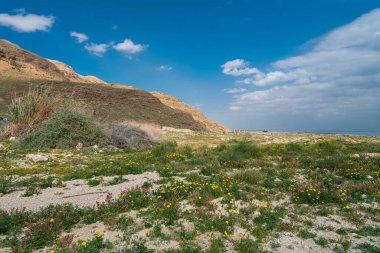 İsrail 'de Ölü Deniz' in maliyetine bakan Yehuda Çölü 'nün manzarası