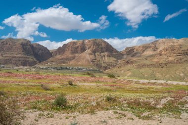 İsrail 'de Ölü Deniz' in maliyetine bakan Yehuda Çölü 'nün manzarası