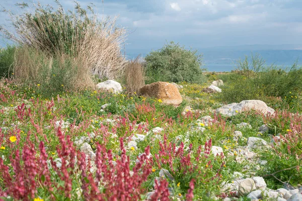İsrail 'de Ölü Deniz' in maliyetine bakan Yehuda Çölü 'nün manzarası