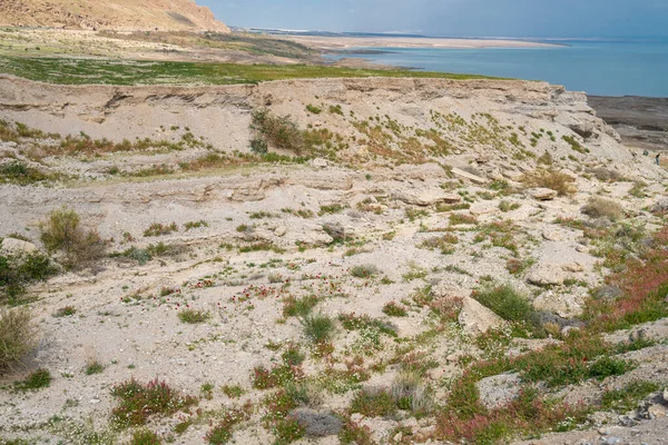 İsrail 'de Ölü Deniz' in maliyetine bakan Yehuda Çölü 'nün manzarası