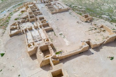 İsrail 'in güneyindeki Negev Çölü' nde, şimdi ulusal bir park olan harap olmuş Antik Nabataean şehri Avdat 'ın hava panoramik bahar manzarası.