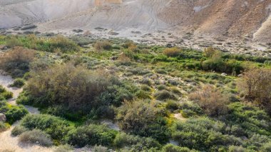 İsrail 'in Negev Çölü' ndeki Avdat Kanyonu (Ein Avdat) üzerinde gün batımı manzaralı Kibbutz Sde Boker gözcüsü. Negev Çölü. İsrail