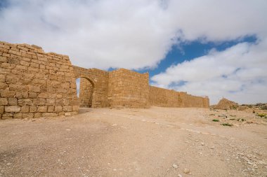 İsrail 'in güneyindeki Negev Çölü' nde, şimdi bir milli park olan antik Nabataean kentinin manzaralı ilkbahar manzarası.