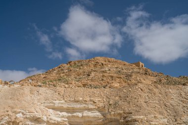 İsrail 'in güneyindeki Negev Çölü' nde, şimdi bir milli park olan antik Nabataean kentinin manzaralı ilkbahar manzarası.