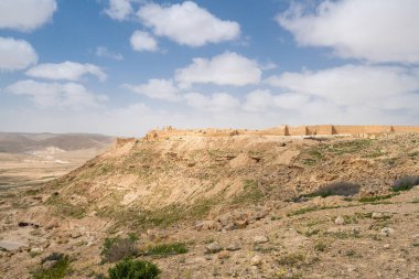 İsrail 'in güneyindeki Negev Çölü' nde, şimdi bir milli park olan antik Nabataean kentinin manzaralı ilkbahar manzarası.
