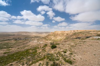 İsrail 'in güneyindeki Negev Çölü' nde, şimdi bir milli park olan antik Nabataean kentinin manzaralı ilkbahar manzarası.