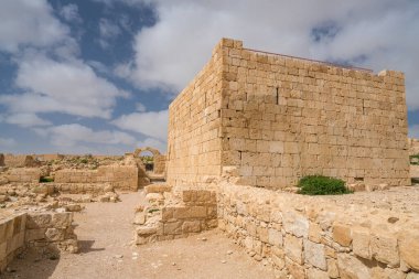 İsrail 'in güneyindeki Negev Çölü' nde, şimdi bir milli park olan antik Nabataean kentinin manzaralı ilkbahar manzarası.