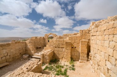 İsrail 'in güneyindeki Negev Çölü' nde, şimdi bir milli park olan antik Nabataean kentinin manzaralı ilkbahar manzarası.