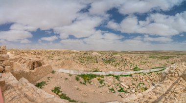 İsrail 'in güneyindeki Negev Çölü' nde, şimdi bir milli park olan antik Nabataean kentinin manzaralı ilkbahar manzarası.