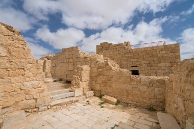 İsrail 'in güneyindeki Negev Çölü' nde, şimdi bir milli park olan antik Nabataean kentinin manzaralı ilkbahar manzarası.