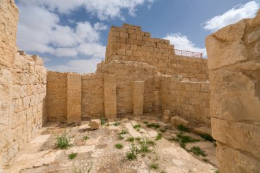 İsrail 'in güneyindeki Negev Çölü' nde, şimdi bir milli park olan antik Nabataean kentinin manzaralı ilkbahar manzarası.