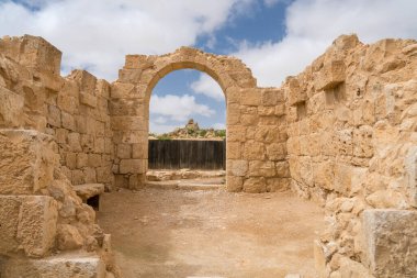 İsrail 'in güneyindeki Negev Çölü' nde, şimdi bir milli park olan antik Nabataean kentinin manzaralı ilkbahar manzarası.