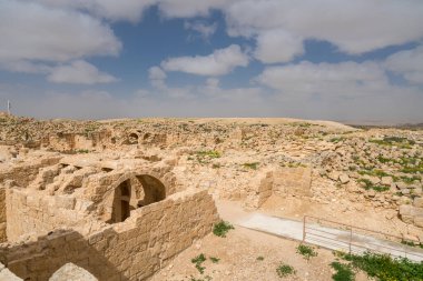 İsrail 'in güneyindeki Negev Çölü' nde, şimdi bir milli park olan antik Nabataean kentinin manzaralı ilkbahar manzarası.
