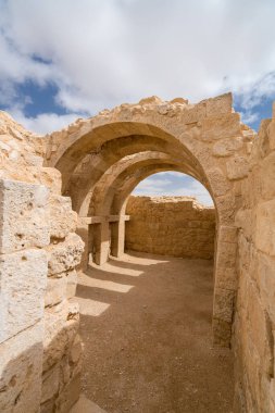 İsrail 'in güneyindeki Negev Çölü' nde, şimdi bir milli park olan antik Nabataean kentinin manzaralı ilkbahar manzarası.