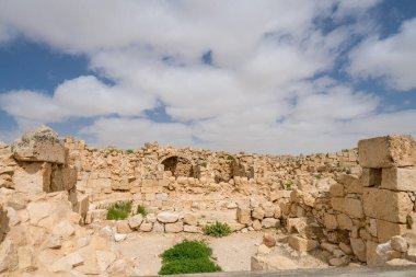 İsrail 'in güneyindeki Negev Çölü' nde, şimdi bir milli park olan antik Nabataean kentinin manzaralı ilkbahar manzarası.