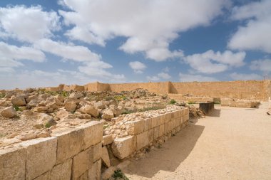 İsrail 'in güneyindeki Negev Çölü' nde, şimdi bir milli park olan antik Nabataean kentinin manzaralı ilkbahar manzarası.