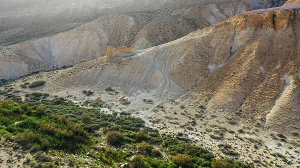 Vista Panorámica Primavera Del Atardecer Sobre Cañón Avdat Ein Avdat —  Fotos de Stock