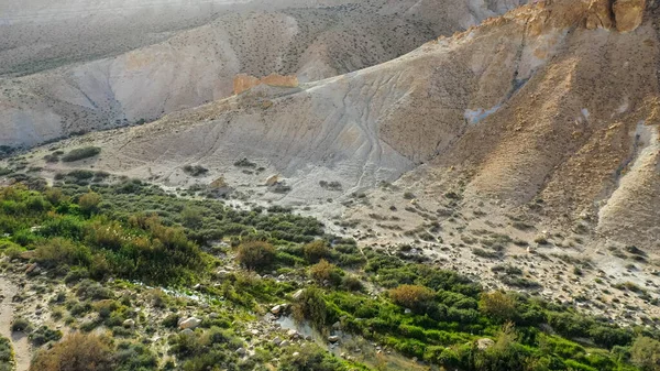 Scenic Voorjaarszicht Van Zonsondergang Boven Avdat Canyon Ein Avdat Israël — Stockfoto