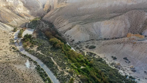 Scenisk Våren Syn Solnedgången Över Avdat Canyon Ein Avdat Israels — Stockfoto