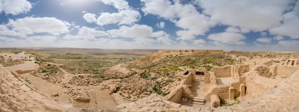 Vista Panorámica Primavera Antigua Ciudad Nabatea Ruinas Avdat Ahora Parque —  Fotos de Stock