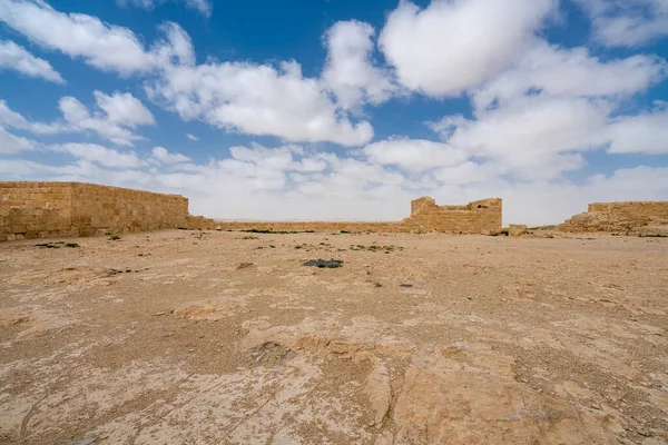 Landschappelijk Voorjaarsuitzicht Verwoeste Oude Nabatese Stad Avdat Een Nationaal Park Stockfoto