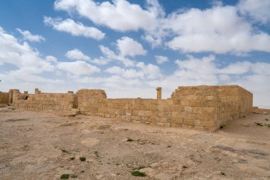 İsrail 'in güneyindeki Negev Çölü' nde, şimdi bir milli park olan antik Nabataean kentinin manzaralı ilkbahar manzarası.