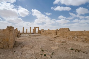 İsrail 'in güneyindeki Negev Çölü' nde, şimdi bir milli park olan antik Nabataean kentinin manzaralı ilkbahar manzarası.