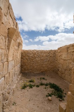 İsrail 'in güneyindeki Negev Çölü' nde, şimdi bir milli park olan antik Nabataean kentinin manzaralı ilkbahar manzarası.