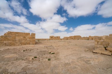 İsrail 'in güneyindeki Negev Çölü' nde, şimdi bir milli park olan antik Nabataean kentinin manzaralı ilkbahar manzarası.