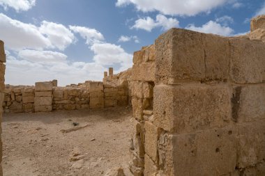 İsrail 'in güneyindeki Negev Çölü' nde, şimdi bir milli park olan antik Nabataean kentinin manzaralı ilkbahar manzarası.