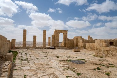 İsrail 'in güneyindeki Negev Çölü' nde, şimdi bir milli park olan antik Nabataean kentinin manzaralı ilkbahar manzarası.