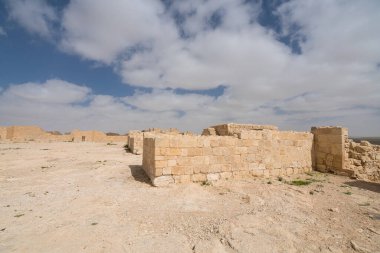 İsrail 'in güneyindeki Negev Çölü' nde, şimdi bir milli park olan antik Nabataean kentinin manzaralı ilkbahar manzarası.