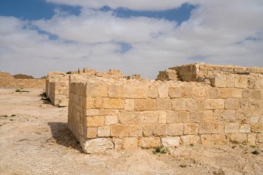 İsrail 'in güneyindeki Negev Çölü' nde, şimdi bir milli park olan antik Nabataean kentinin manzaralı ilkbahar manzarası.
