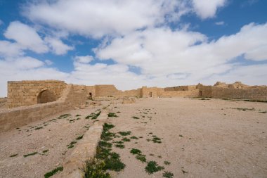 İsrail 'in güneyindeki Negev Çölü' nde, şimdi bir milli park olan antik Nabataean kentinin manzaralı ilkbahar manzarası.