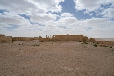 İsrail 'in güneyindeki Negev Çölü' nde, şimdi bir milli park olan antik Nabataean kentinin manzaralı ilkbahar manzarası.